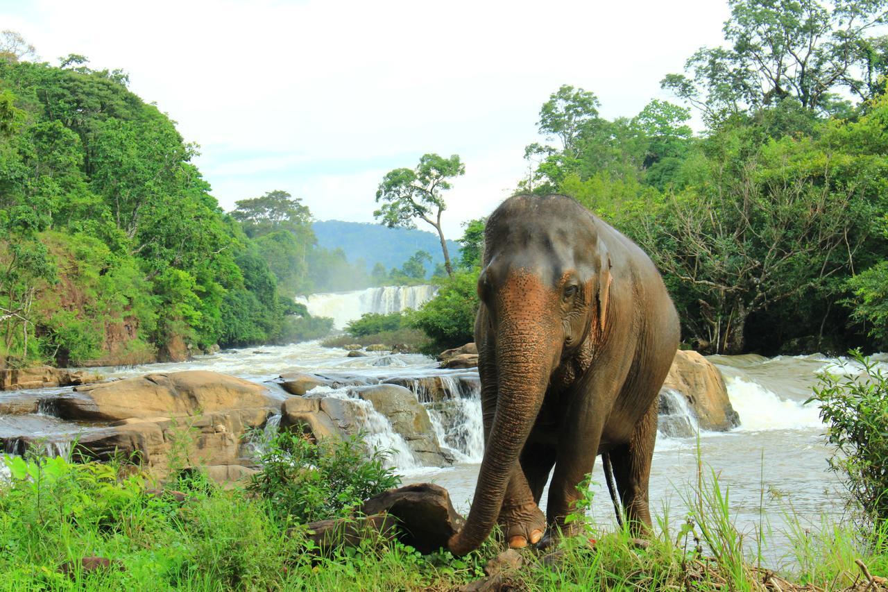 Tadlo Lodge Beng Esterno foto