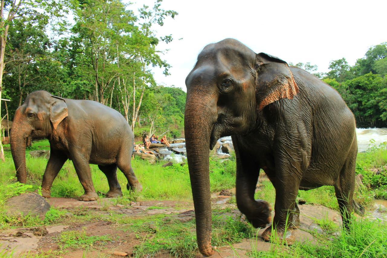 Tadlo Lodge Beng Esterno foto